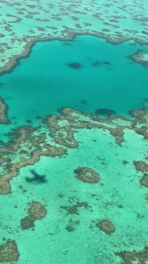 Aerial view of turquoise coral reefs in the Great Barrier Reef